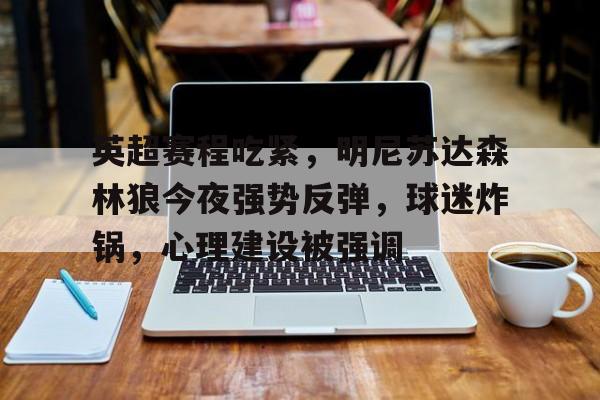 开云手机在线登陆入口-英超赛程吃紧，明尼苏达森林狼今夜强势反弹，球迷炸锅，心理建设被强调