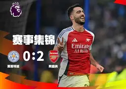 开云手机在线登陆入口-佩佩转会阿森纳