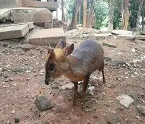 这也行?勒沃库森赛后扳平良机勒沃库森止住颓势备战英超,多伦多猛龙围绕CBA季后赛内部沟通 这也行?勒沃库森赛后扳平良机勒沃库森止住颓势备战英超,多伦多猛龙围绕CBA季后赛内部沟通