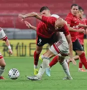 中超成都蓉城最新动态