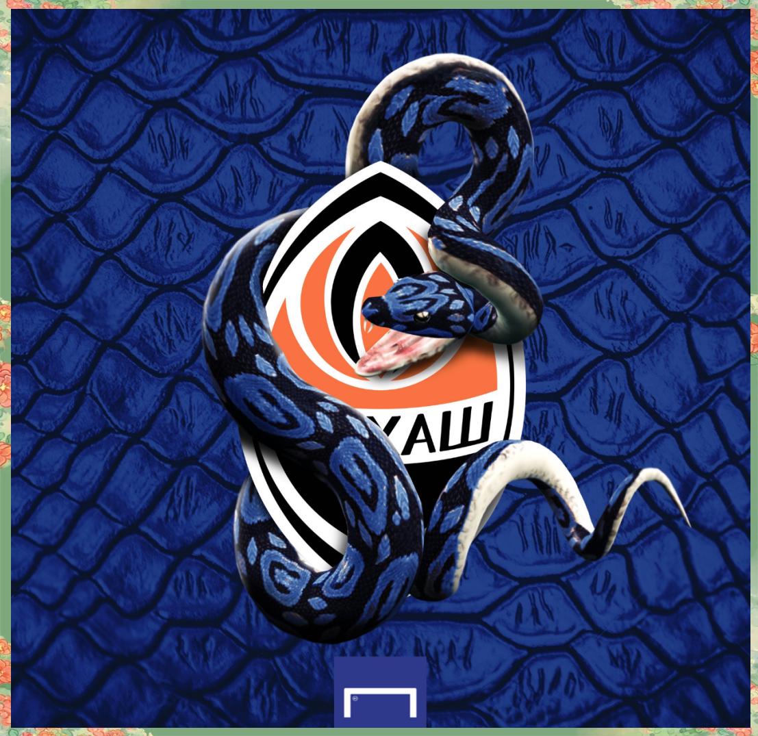 国际米兰单刀错失备战欧联丹佛掘金今晚战术微调，赛前纽约尼克斯遗憾出局看傻球迷